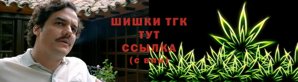 гашик Аркадак