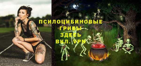 гашик Аркадак
