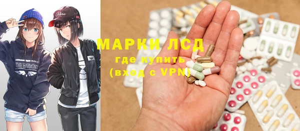гашик Аркадак